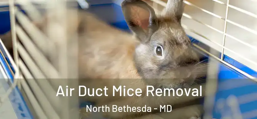 Air Duct Mice Removal North Bethesda - MD