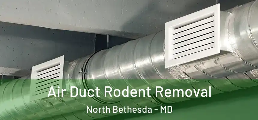  Air Duct Rodent Removal North Bethesda - MD