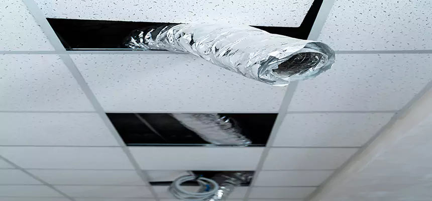 Affordable HVAC Sanitizing After Pest Removal in North Bethesda