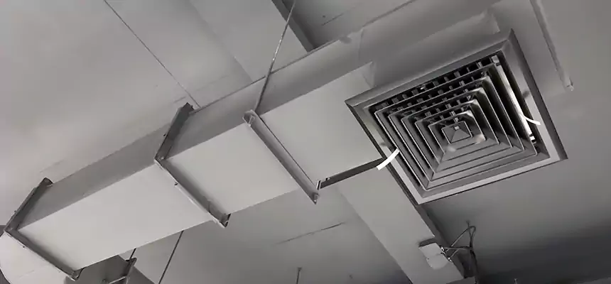 Our Pest Removal From Ducts Services in North Bethesda, MD