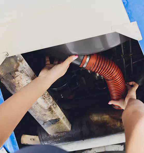 About Air Duct Virus Disinfection in North Bethesda, MD