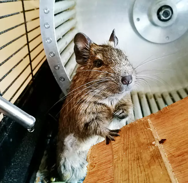 Why Homeowners & Businesses Trust Us North Bethesda, MD